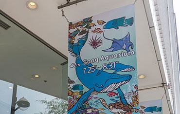 琉球帆布公式オンラインショップ