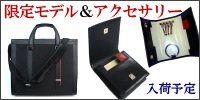 �ӥ��ͥ��Хå��Υ������󡦥�������������ǥ�