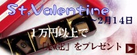 �Х�󥿥���ץ쥼���