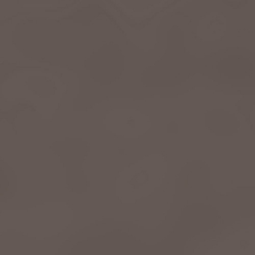 アッシュグレー(CT1066AGY)