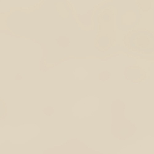 ベージュ(CT1066BE)