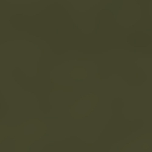 カーキグリーン(CT1066KGN)