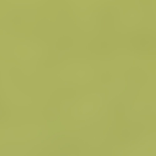 ライトグリーン(CT1066LGN)