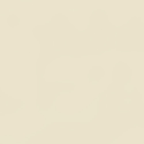 ナチュラル(CT1066NL)