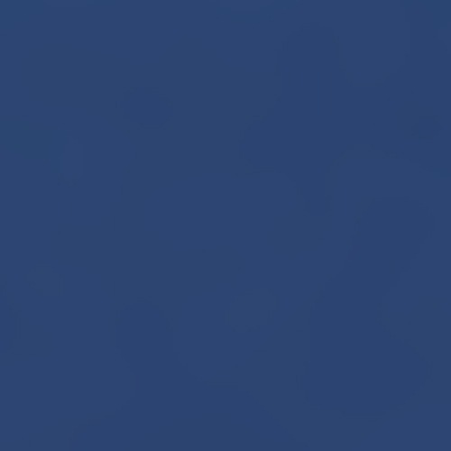 ネイビー(CT1066NV)