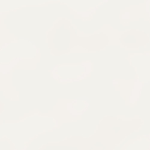 ホワイト(CT1066WH)