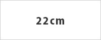 22cm