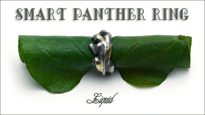 Smart Panther Ring & Necklace
