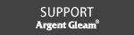 silver accessory support