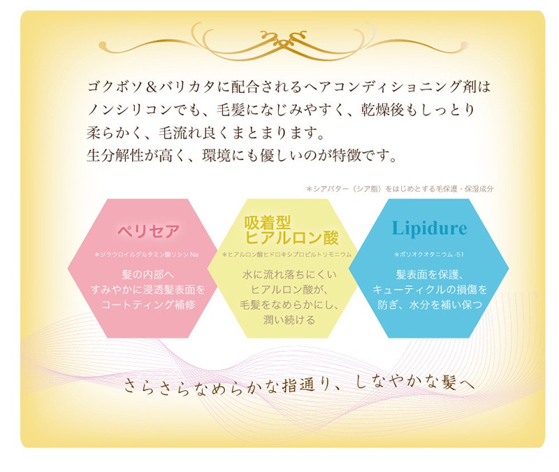 �إ����� �ʥ����륳���� �ݼ����� ������ ��󥭥�