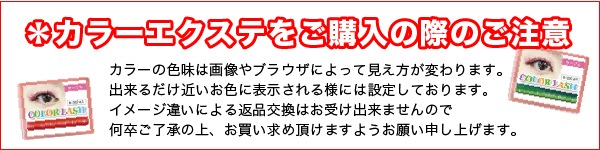 ���顼�������ƥ֥饦������