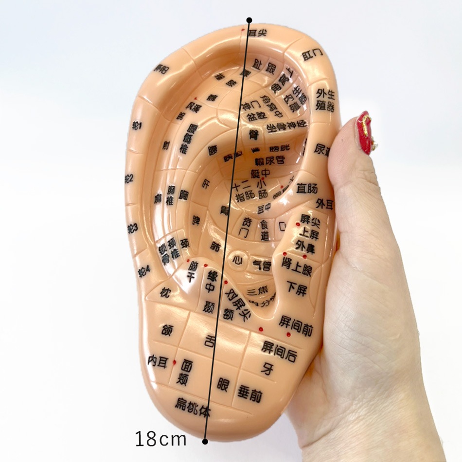 あんこ様　耳つぼジュエリー10枚 楽天市場】【1-2日発送】耳つぼジュエリー ローズゴエリーキット