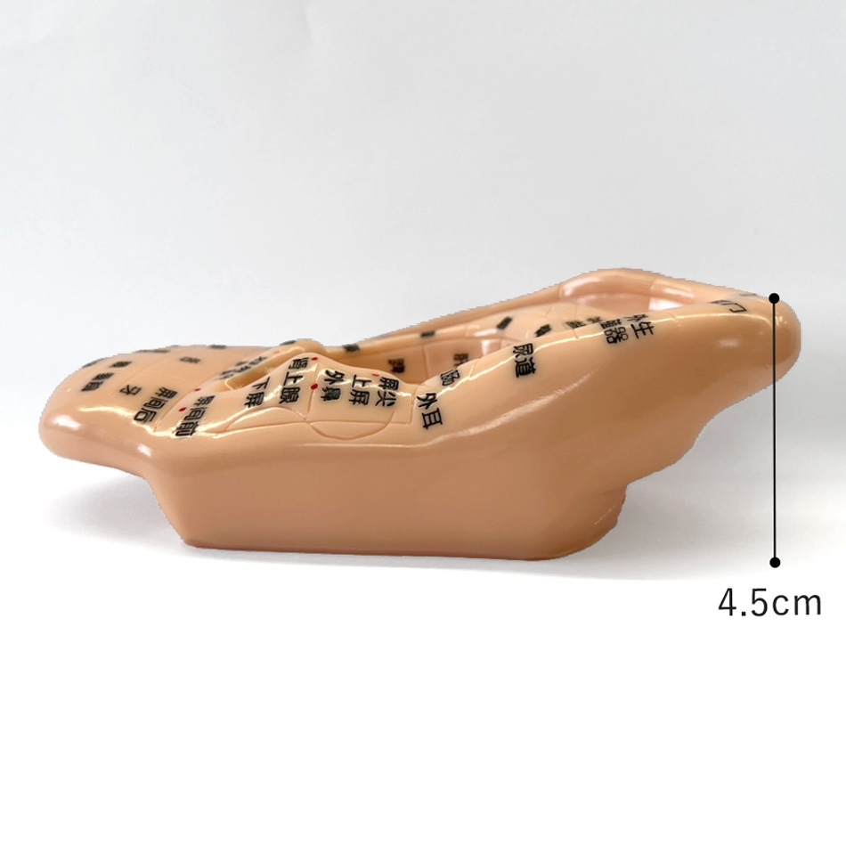 耳つぼジュエル 耳つぼ模型 | 耳つぼジュエリー | まつげエクステ用商材 Angela