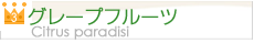 ランク3位