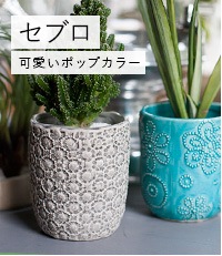 植木鉢 テラコッタとプランターの通販専門店 Barge