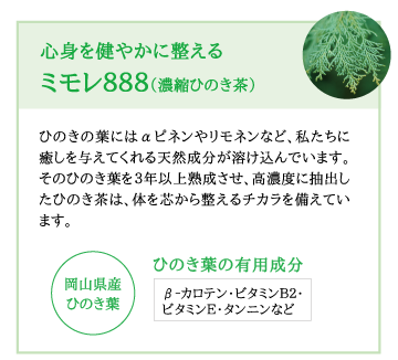 ミモレ888 （濃縮ひのき茶） 1L-