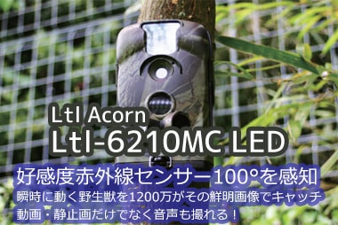 
赤外線センサートレイルカメラ Ltl Acorn Ltl-6210MC 850NM/940NM
