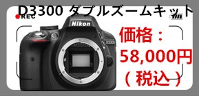 D3300 ダブルズームキット