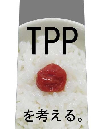 TPPͤͥμ̿