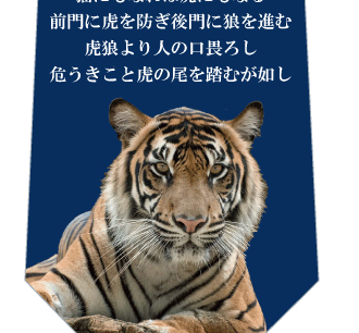 虎のことわざネクタイの写真