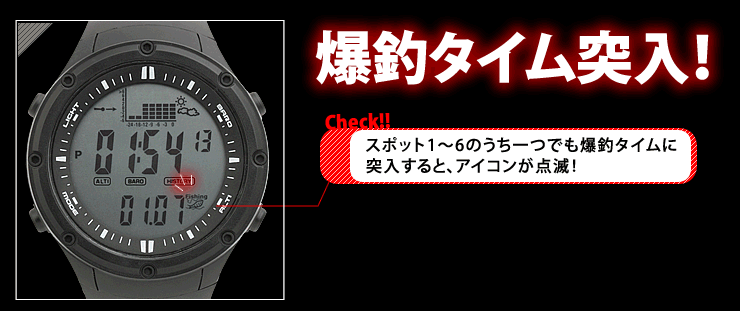 爆釣タイム突入!