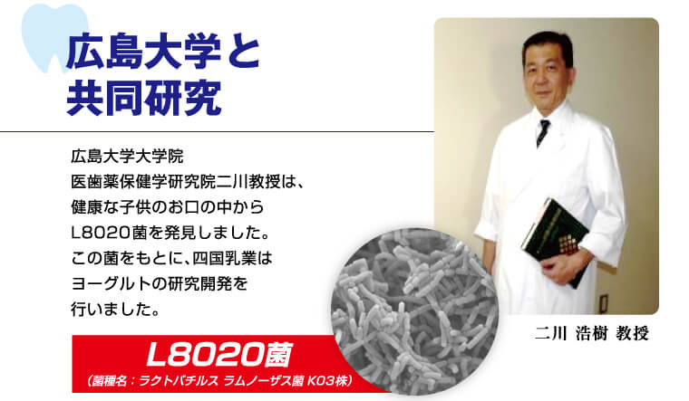 広島大学と共同研究 広島大学大学院医歯薬保健学研究院二川教授は、健康な子供のお口の中からL8020菌を発見しました。この菌をもとに、四国乳業はヨーグルトの研究開発を行いました。