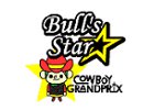 Bull's Star Logo