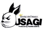 USAGI Logo