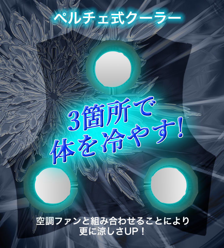 即日発送】アイズフロンティア 熱中症対策 ペルチェベスト クーリング