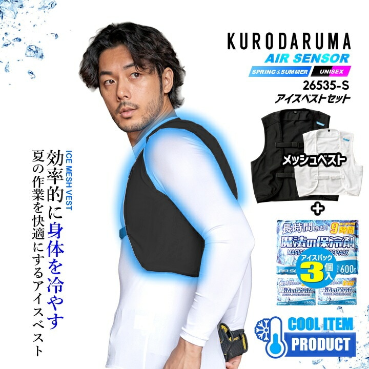 即日発送】アイスベスト 保冷剤 フルセット 2026年 (持続性 保冷剤 3個