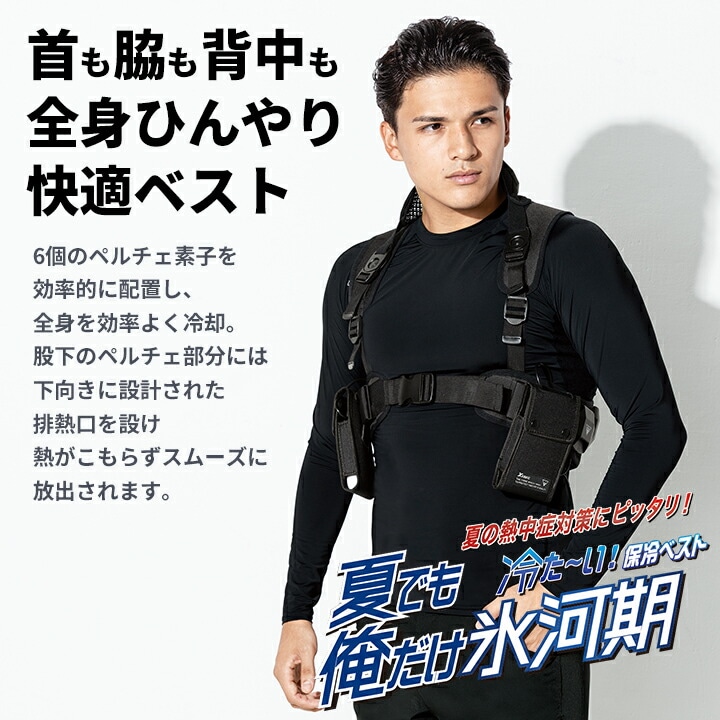 半額値下★新品未使用★ジーベック ペルチェ(PSEバッテリー２個) Lサイズ 即日発送】冷却プレート ペルチェベストセット バッテリー付きフル