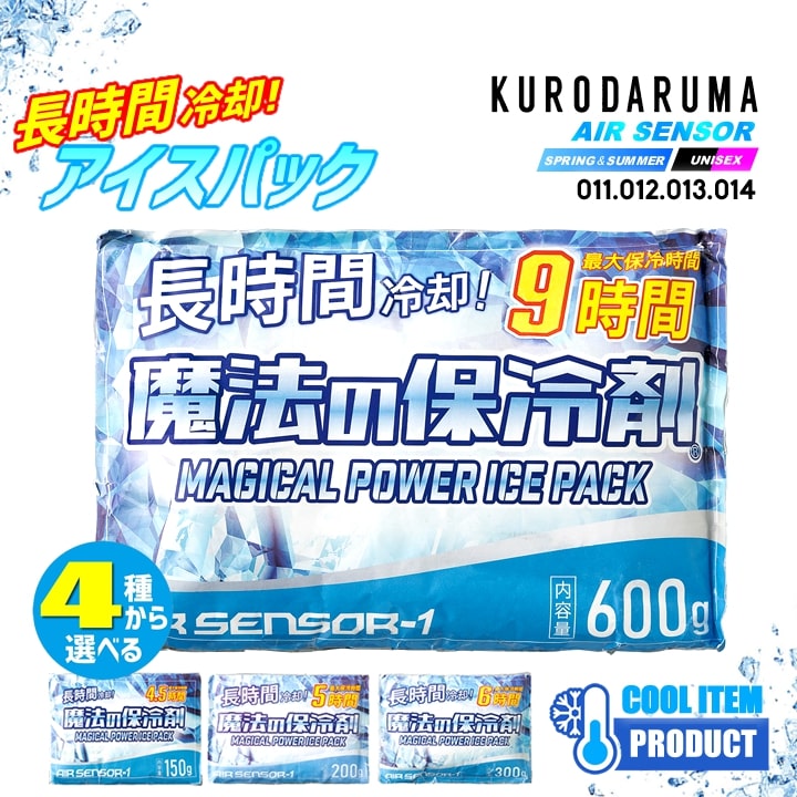 即日発送】アイスベスト 保冷剤 フルセット 2026年 (持続性 保冷剤 3個