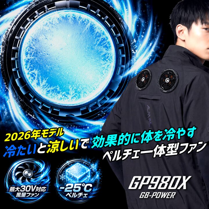 即日発送】長信ジャパン 冷却ペルチェファンセット 一体型 2026年