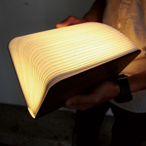 Lumiosf ルミオエスエフ/book lamp/ブック型照明/ランプ/LEDライト [全