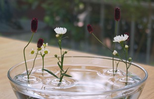 グラスやボウル、水盤に浮かべる花器 一輪挿し Floating Vase RIPPLE