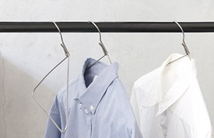 ͤηˤ᤯ƤΤǡĤ줷ˤܤ⥹åʥϥ󥬡Ǥ