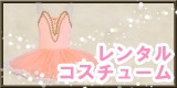 DessusDessous ��󥿥륳�����塼�����ѥ�����