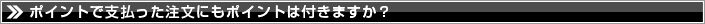 ポイントで支払った注文にもポイントは付きますか?