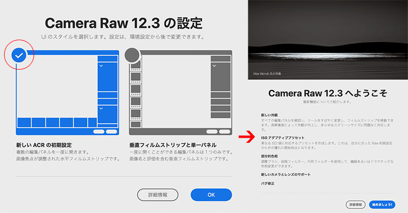 CameraRaw12.3