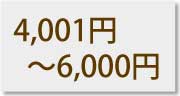 4001円～6000円