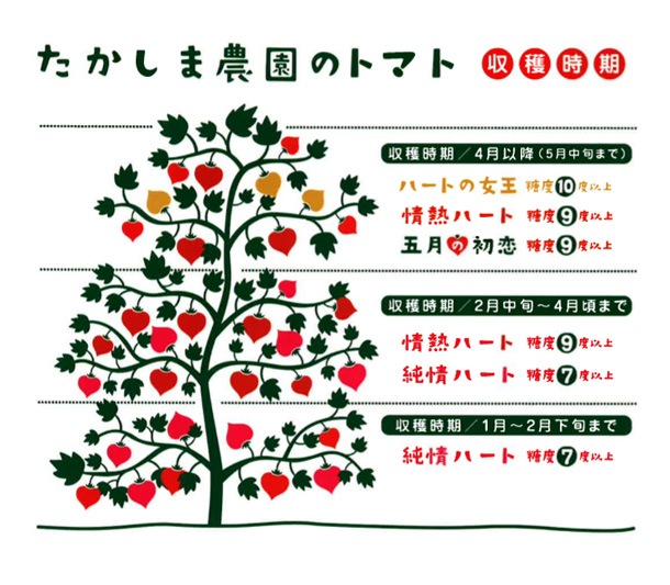 高島トマト品種と時期