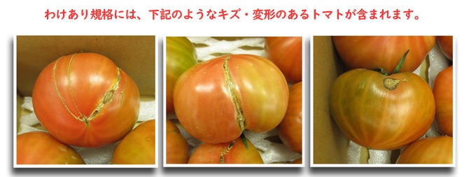 たかしまトマト純情ハートわけあり規格3.5kg