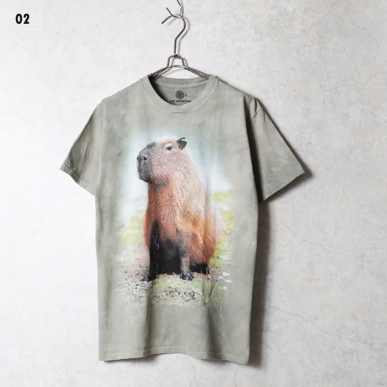 THE MOUNTAIN / ザマウンテン TM2621 THE MOUNTAIN T-SHIRT / ザ