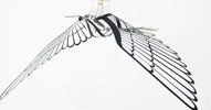 Birdlight,�С��ɥ饤��,hungming,�ե�ߥ�