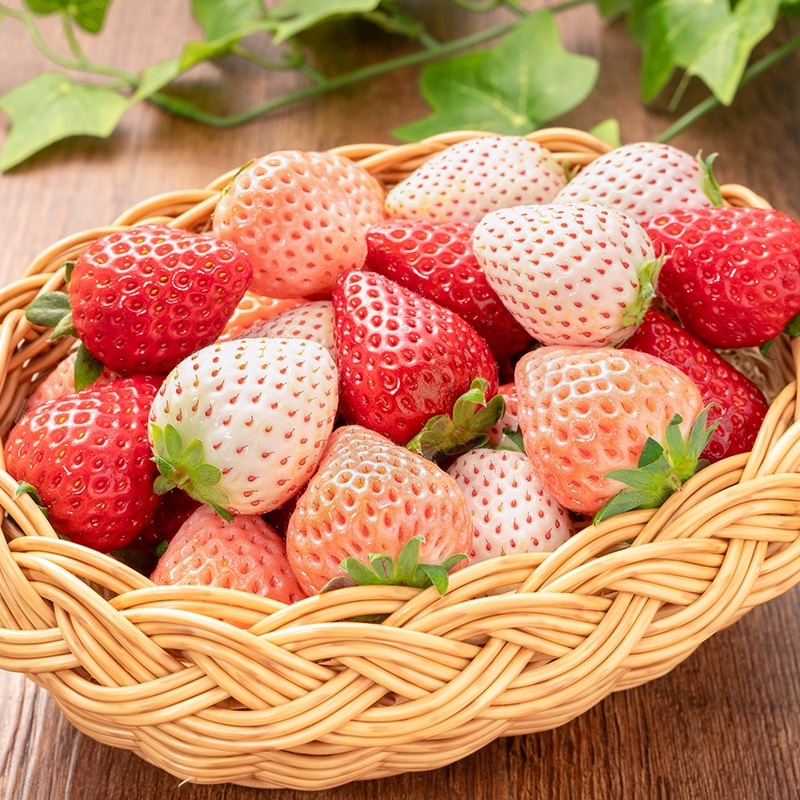いちご3種食べ比べセット 250g×4パック 合計1kg 1箱 2パック入りの通販