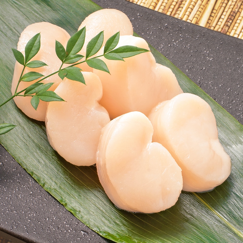 タイラギ