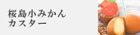 ���羮�ߤ��󥫥����������Ρ�������