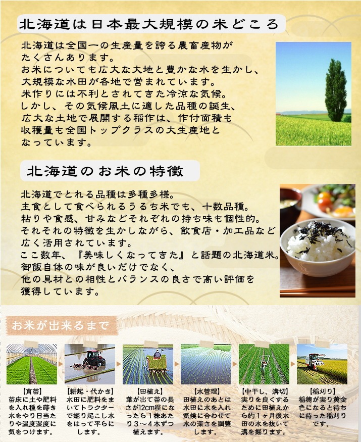 北海道は日本最大規模の米どころ