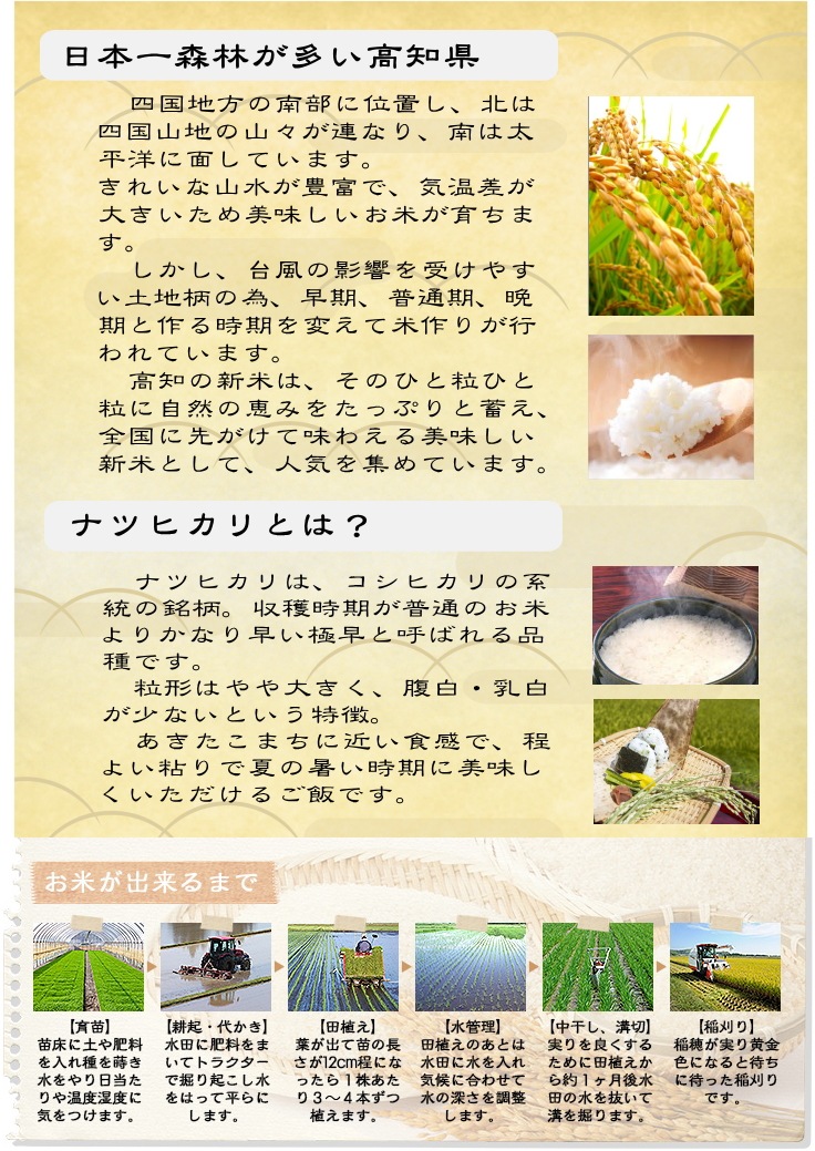 高知ナツヒカリとは