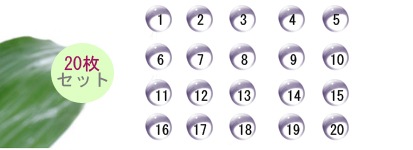 20